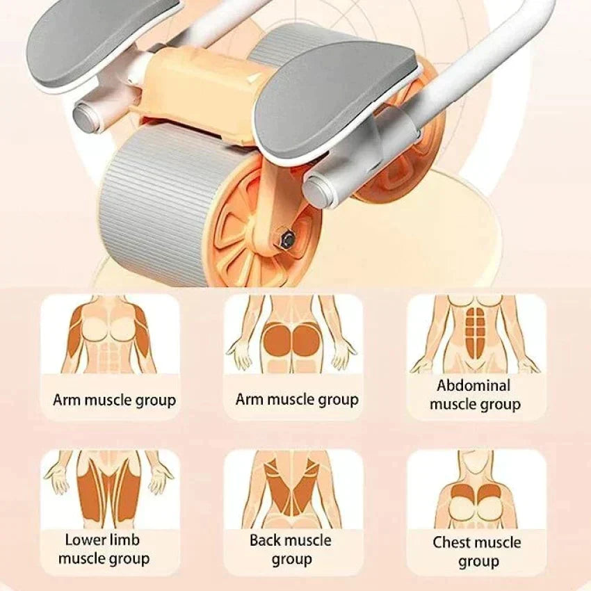 Ab Abdominal Fitness Exercise Roller